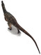 Haolonggood Baryonyx - Wei Ding Guo - Top View