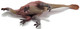 Deinocheirus Fiery Red (Haolonggood)