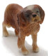 Dog - Cavalier King Charles Spaniel (CollectA)