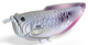 EUGY Silver Arowana 3D Puzzle #124 - Manufacturer main image