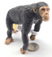 Schleich Chimpanzee #14883 image front zoom