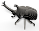 EUGY Rhino Beetle 3D Puzzle #113 - side image