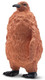Toymany King Penguin Baby #00215 Hero image