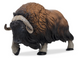 Toymany - Musk-Ox #00361 hero image