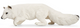 Toymany - Arctic Fox #00362 Hero Image