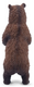 Toymany - Brown bear Standing #00508 - rear view image