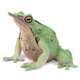 Toymany - Darwin's Frog #00392 hero image