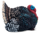 Toymany - Mini Turkey #00395 side image