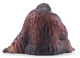 Toymany - Sumatran Orangutan #00436 - rear view Image