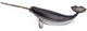 Toymany - Narwhal #00370 hero image