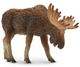 Toymany - Moose #328 Hero Image