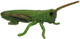 Grasshopper (CollectA)