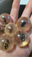 Safari Ltd. Geoworld Bug Marbles #107566 - complete collection in palm Image zoomed