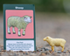 CollectA Farm Blind Bag #A1231 card Image
