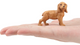Toymany - Golden Cocker Spaniel Puppy mini #00156 - size reference image