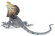 Toymany Frilled Lizard #311 - rear side View