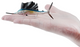 Toymany - Sailfish #451 size reference image
