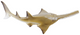 Toymany - Smalltooth Sawfish Pup #463 size bottom image