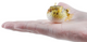 Toymany - Pufferfish #458 size reference image