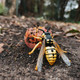 Toymany Wasp #425 - Wasp in Wild