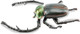 Toymany Janson’s Long-armed Scarab Beetle #431 - Top View