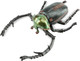 Toymany Janson’s Long-armed Scarab Beetle #431 - Main Picture