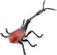 Toymany Giraffe Weevil #428 - Main Picture