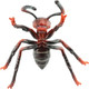 Toymany Red Imported Fire Ant #432 - Belly View