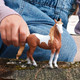 Schleich Mustang Mare #14920 - Playtime