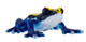 Mojo Poison Dart Frog Blue #381069 - Main Picture