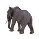 Mojo African Elephant #387189 - Rear View