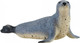 Mojo Grey Seal #381134 - Main Picture