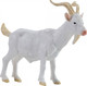 Mojo Billy Goat #381136 - Main Picture