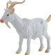 Mojo Billy Goat #381136 - Front Left View