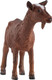 Mojo Nanny Goat #381137 - Front View