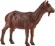 Mojo Nanny Goat #381137 - Right View