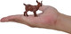 Mojo Kid Goat #381138 - On Hand
