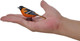Mojo Northern Oriole #381143 - On Hand