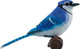 Mojo Blue Jay #381145 - Right View