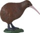 Mojo New Zealand Kiwi  #381149 - Right View