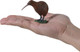 Mojo New Zealand Kiwi  #381149 - On Hand