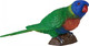 Mojo Australian Rainbow Lorikeet #381150 - Main Picture