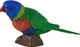Mojo Australian Rainbow Lorikeet #381150 - Left View
