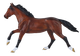 Mojo Thoroughbred Horse #381154 - Right Side View