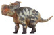 Haolonggood Pachyrhinosaurus Lv Fang #036 - Front Angle View
