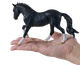 Mojo - Hanoverian Black #381156 - Scale View