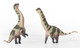 Haolonggood Dreadnoughtus - Lou Cheng - Green - Babies