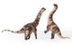 Haolonggood Dreadnoughtus - Heterochromatic - Black Version - Babies