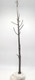 Haolonggood Dreadnoughtus - Tree