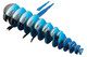 EUGY Spix's Macaw 3D Puzzle #123 - Exploded Construction View